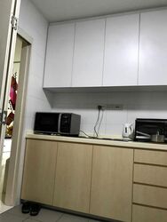 Blk 1A The Pinnacle@Duxton (Bukit Merah), HDB 4 Rooms #498254861